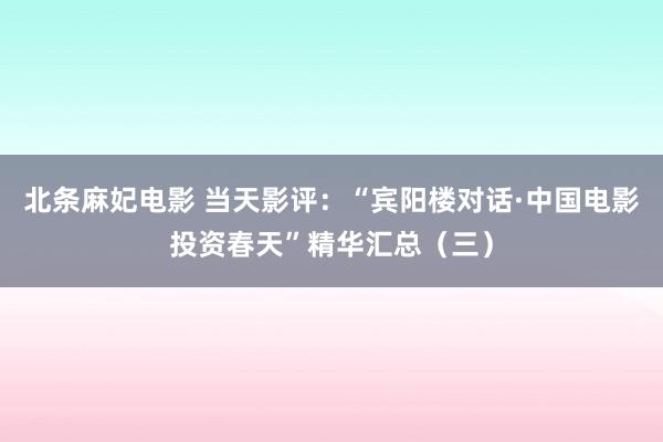 北条麻妃电影 当天影评：“宾阳楼对话·中国电影投资春天”精华汇总（三）