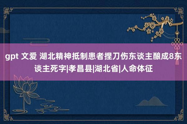 gpt 文爱 湖北精神抵制患者捏刀伤东谈主酿成8东谈主死字|孝昌县|湖北省|人命体征