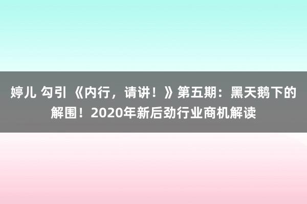 婷儿 勾引 《内行，请讲！》第五期：黑天鹅下的解围！2020年新后劲行业商机解读