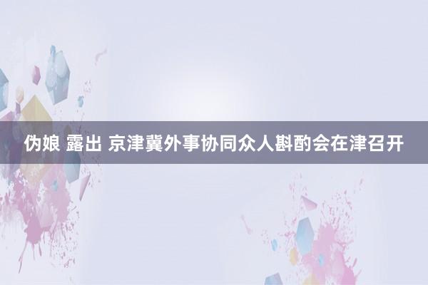 伪娘 露出 京津冀外事协同众人斟酌会在津召开