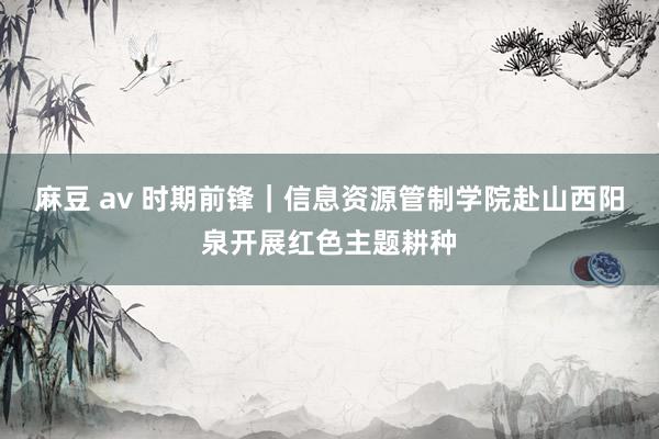 麻豆 av 时期前锋｜信息资源管制学院赴山西阳泉开展红色主题耕种