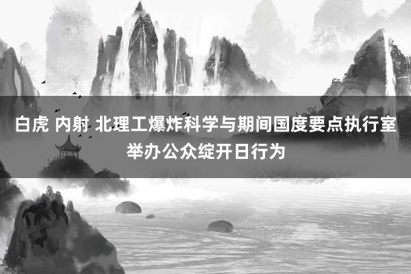 白虎 内射 北理工爆炸科学与期间国度要点执行室举办公众绽开日行为